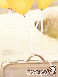 双子座男生到底喜欢什么样的女生特质？