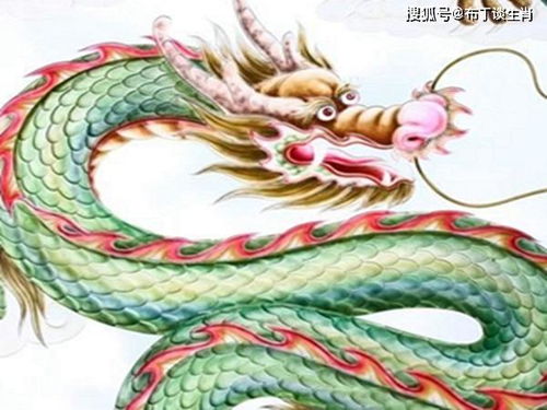 2026年属马狮子座蛇年运势和2025年运势分别是什么？