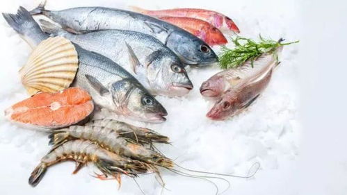 较高汞鱼不适合孩子食用