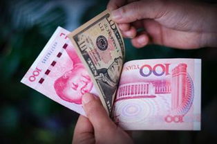 四、常见误区与纠偏建议