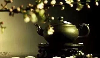 神秘的古墓与诡异的钟声