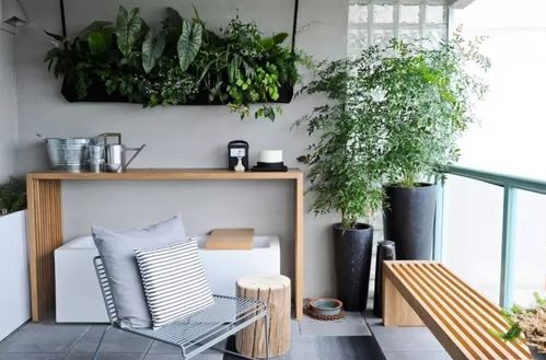 1. 凌霄：慈母之爱的象征与长辈祝福