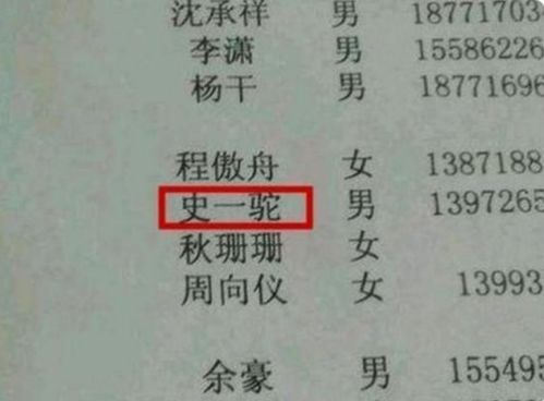 双人家起名：如何取一个既响亮又富有爱意的名字？