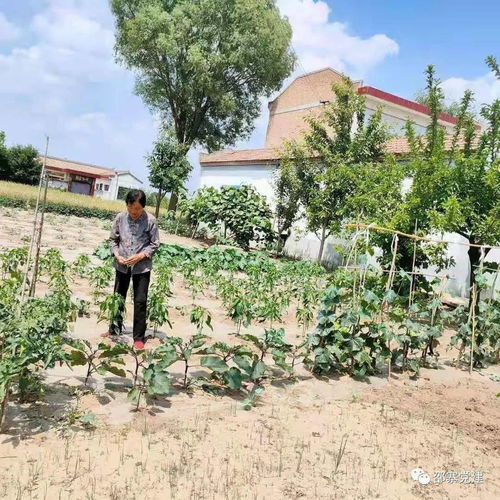 “镇”字的玄机：它真的适合女孩吗？