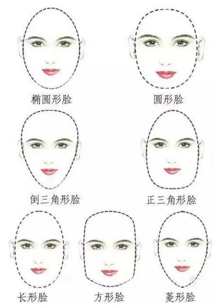 1.1 基本轮廓与比例结构