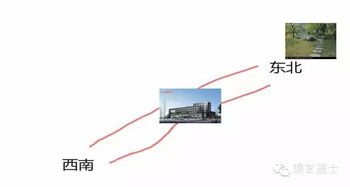 文超良风水案例中，有哪些良本风水可以借鉴？