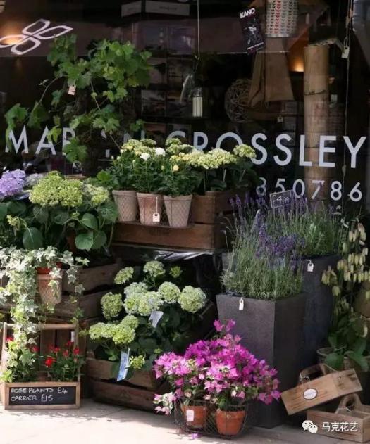 森系风格推荐——简约小清新具体表现