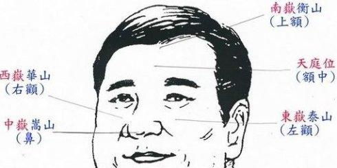 二、 天庭饱满：额头形态所隐含的心智格局