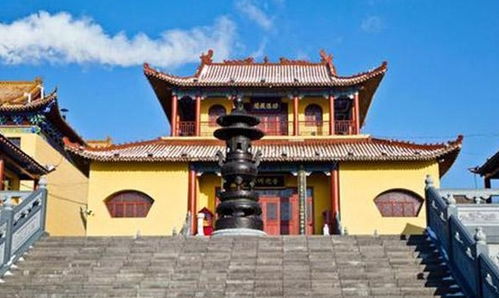 市场乱象的深度剖析与风险防范