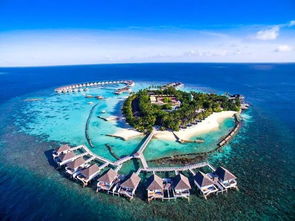 水上屋？呵呵呵…带娃是送命啊！