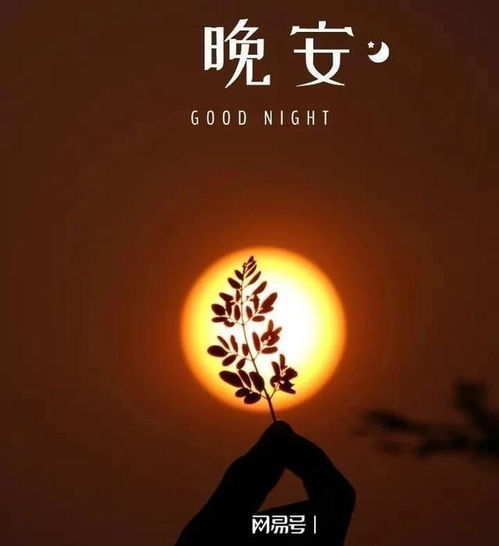 月光与阴影的象征意义