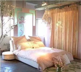 卧室摆放雏菊会影响家和万事兴风水布局吗？