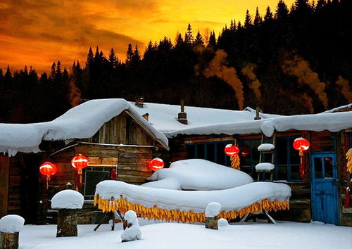 南方人的作死指南——热血与寒冷交叉点的大戏！