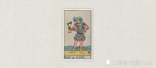 今日金牛座运势如何？白羊座的运气怎样？