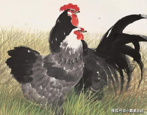 今年下半年属鸡人的财运如何，以及今年下半年鸡的价格走势是怎样的？