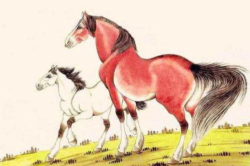 属马人最适合从事什么职业或行业能赚大钱？