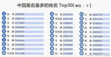 单字名 vs 双字名：哪种梗好？