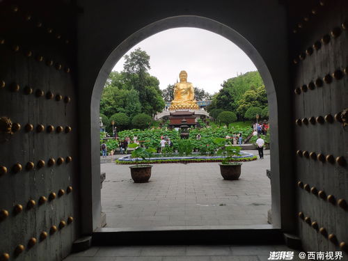 餐饮业态的发展趋势