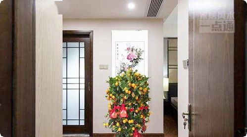 香树适合在家养植吗？对家居风水有好处吗？