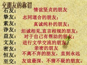 第三章：友情羁绊与时空阻隔的因果分析
