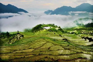 勐簸哈尼梯田：美得让人想哭（是真的！）