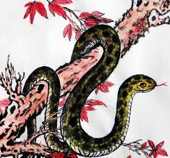 研究背景与目的