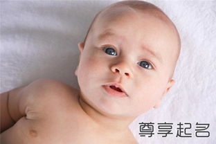 男宝宝起名 适合鸡年的男孩名字大全推荐啦