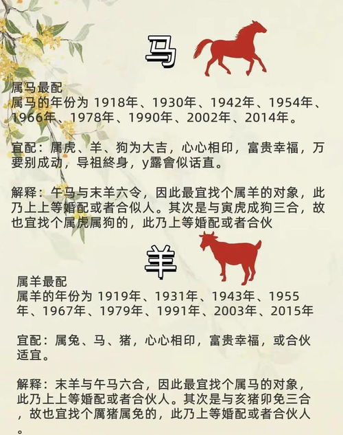 十二生肖夫妻配对的意义是什么？