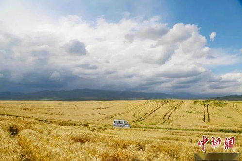 疫情阴影下的暂停原因