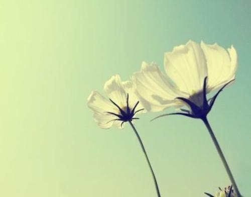 名字中的金与个人命运的纠葛