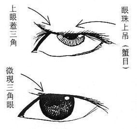 孔雀眼形态及其象征意义