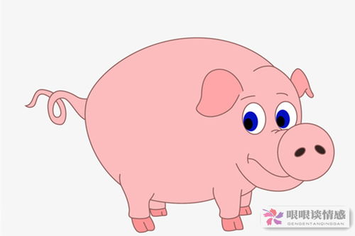 属猪人今日财运如何，具体分析属猪人的生肖财运状况？