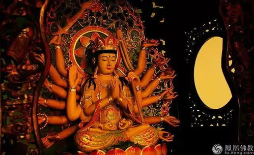 一、  童子命的前世分类学探究