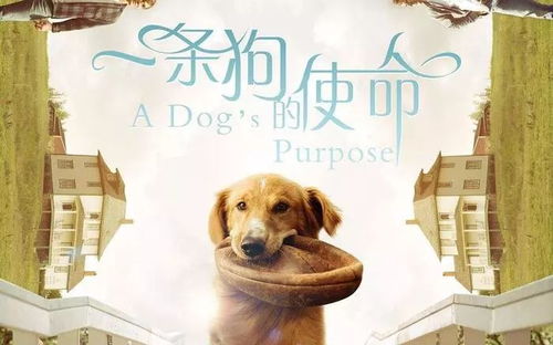 狗的克星第一名最怕什么，竟然能让它闻风丧胆？