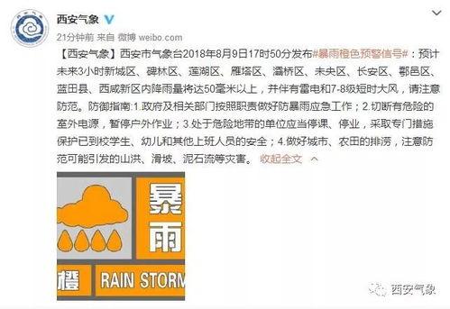 入园后的连环暴击！我的心在滴血！