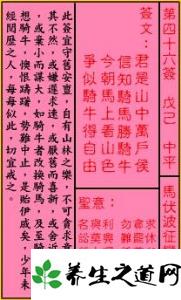 富贵与自由的辩证关系及人生平衡术