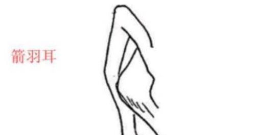 基本概念及研究方法论