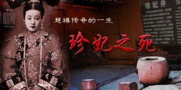 四、悬疑氛围的渲染：梦魇与扭曲