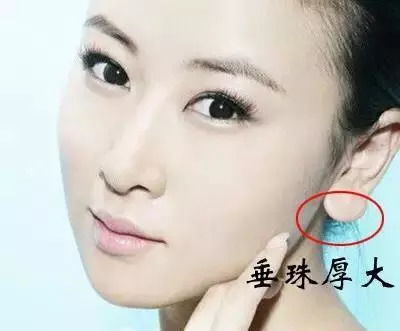 二、 耳部特征与财富运势之间的关联性分析