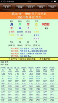 命局概述