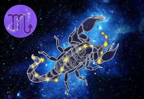 五月里是哪个星座的？