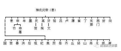 ：国学视域下的姓氏、 生肖与风水运势之综合考辨