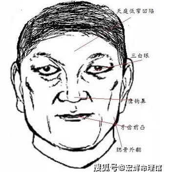 面相贵气特征有哪些，官夫人面相如何体现尊贵气质？