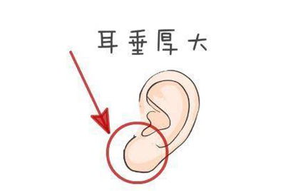 1. 宠物鲜食加盟品牌案例——女性创业者的敏锐洞察力