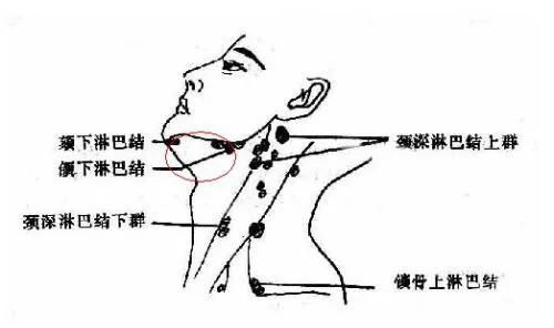 父母应当怎么做？
