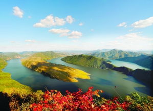 那个破水坑！绿得像毒药！