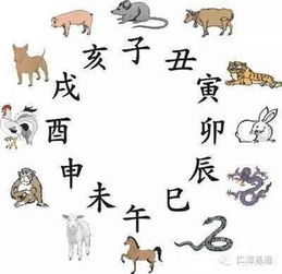 生肖起名法：十二生肖集体再就业