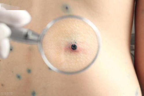 研究背景与学术意义