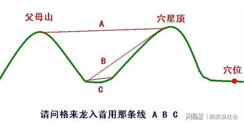 4. 穴星形态与位置的重要性