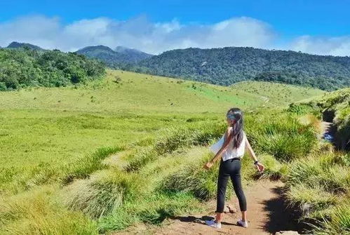 奇台县：新疆的秘密花园（真的！）